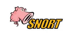 tout-savoir-sur-snort